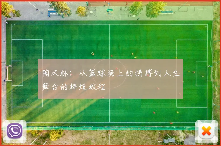 陶汉林：从篮球场上的拼搏到人生舞台的辉煌旅程