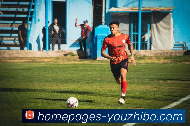 优直播平台生态图